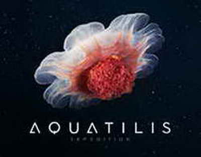 Жетісу агросекторы жанданды: қызылша өсіру қайта күшейді