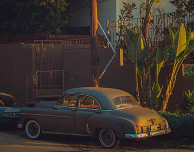 Өскеменде жалпықалалық сенбілік өтті